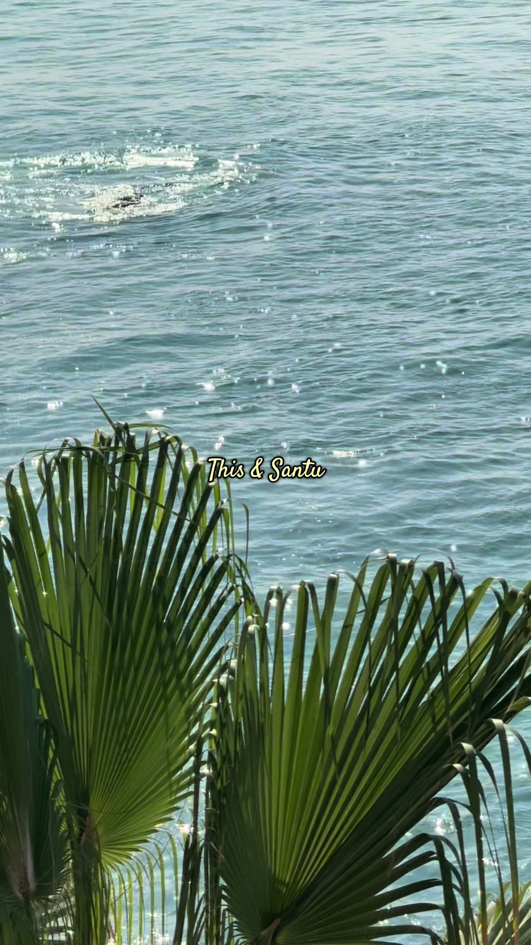 Zayda Rivera post on TikTok